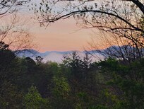 Morning view from back porch