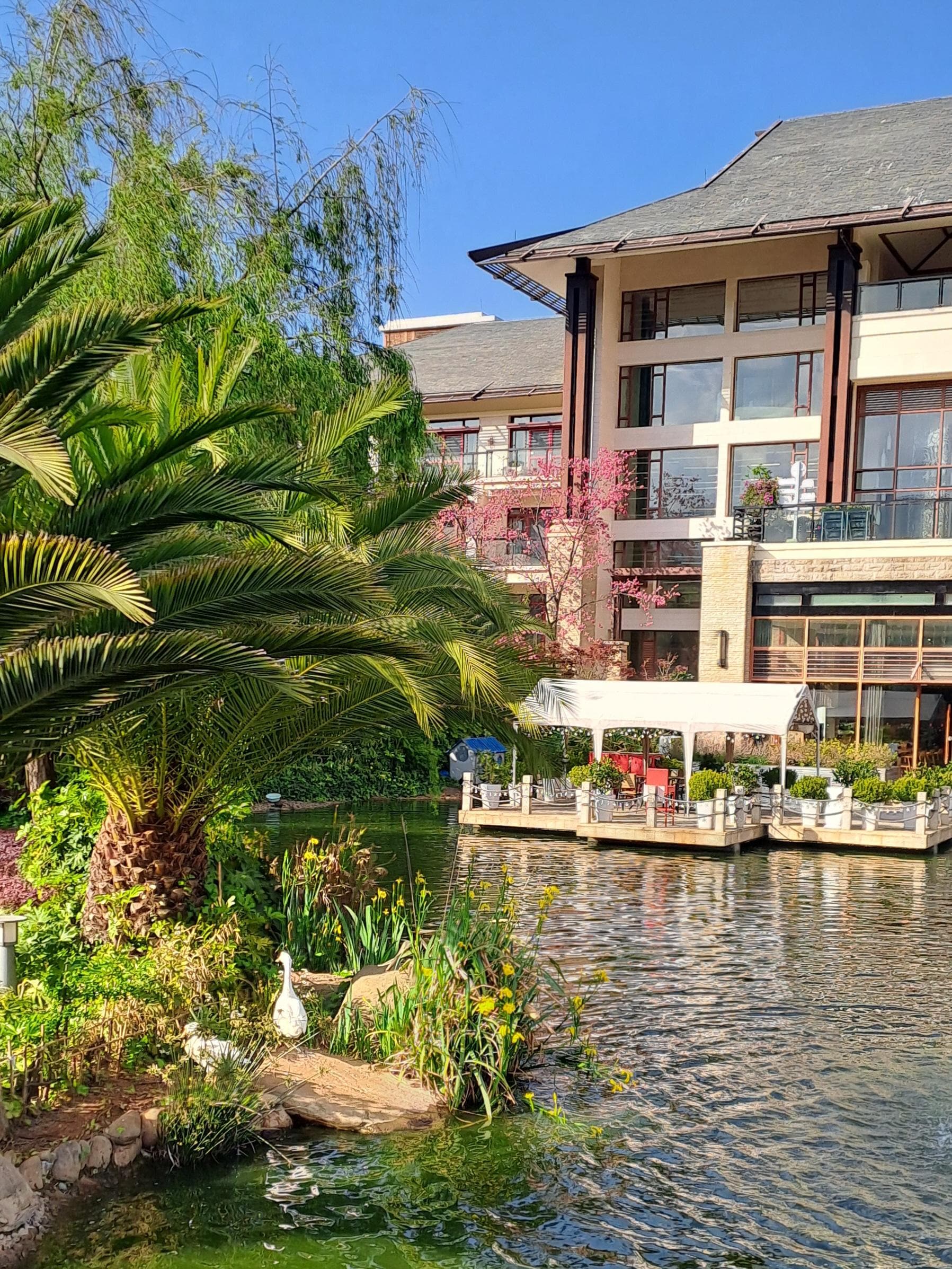 餐廳旁是很好的園林水景
