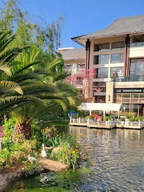 餐廳旁是很好的園林水景