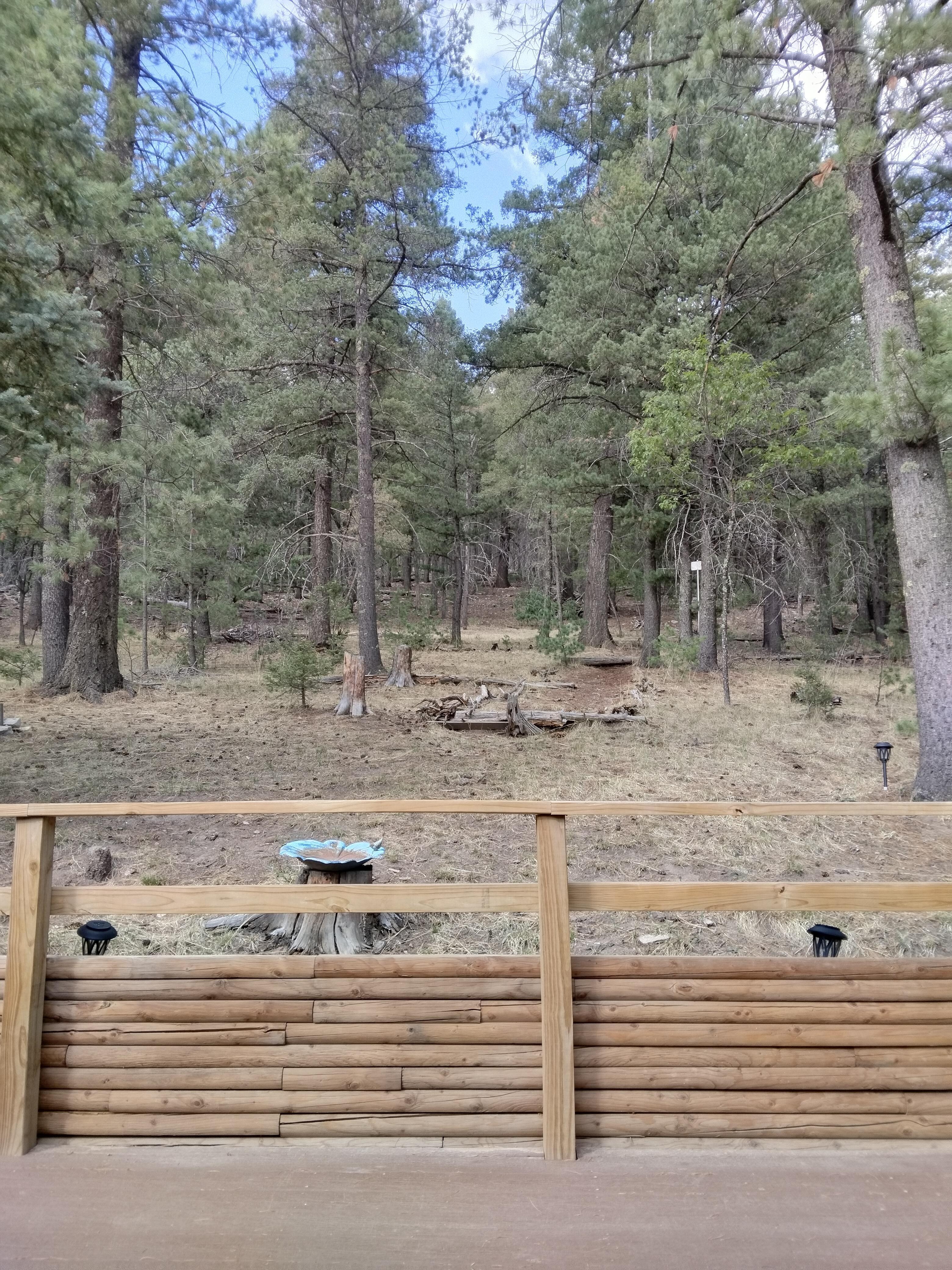 View from side patio 