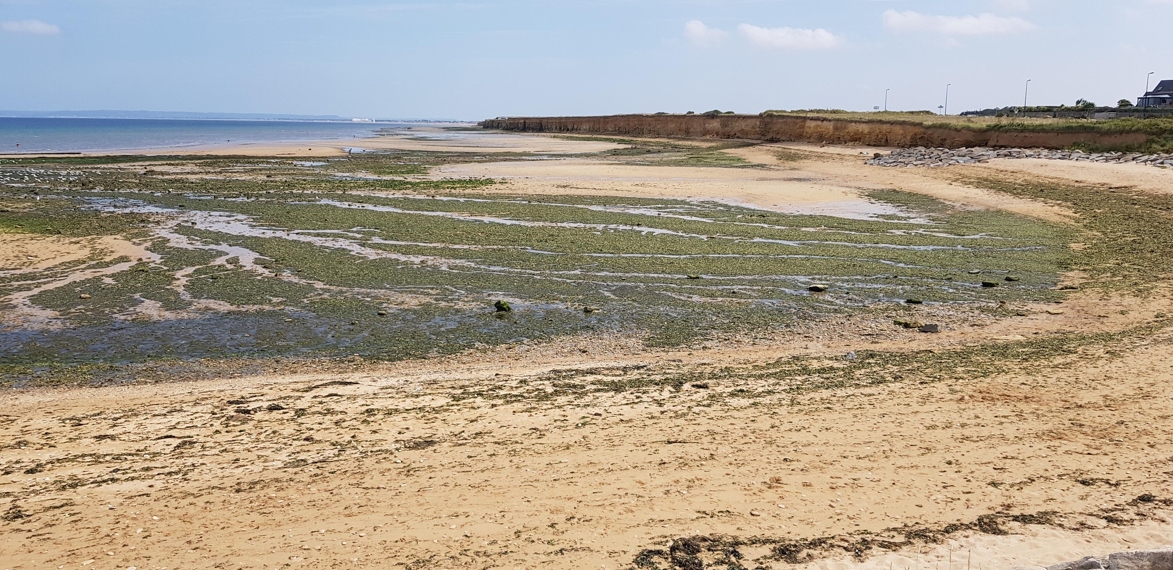 Falaise à l'est de Luc-sur-Mer