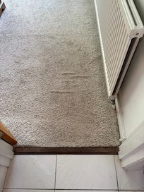 Bedroom carpet with dirty entrance