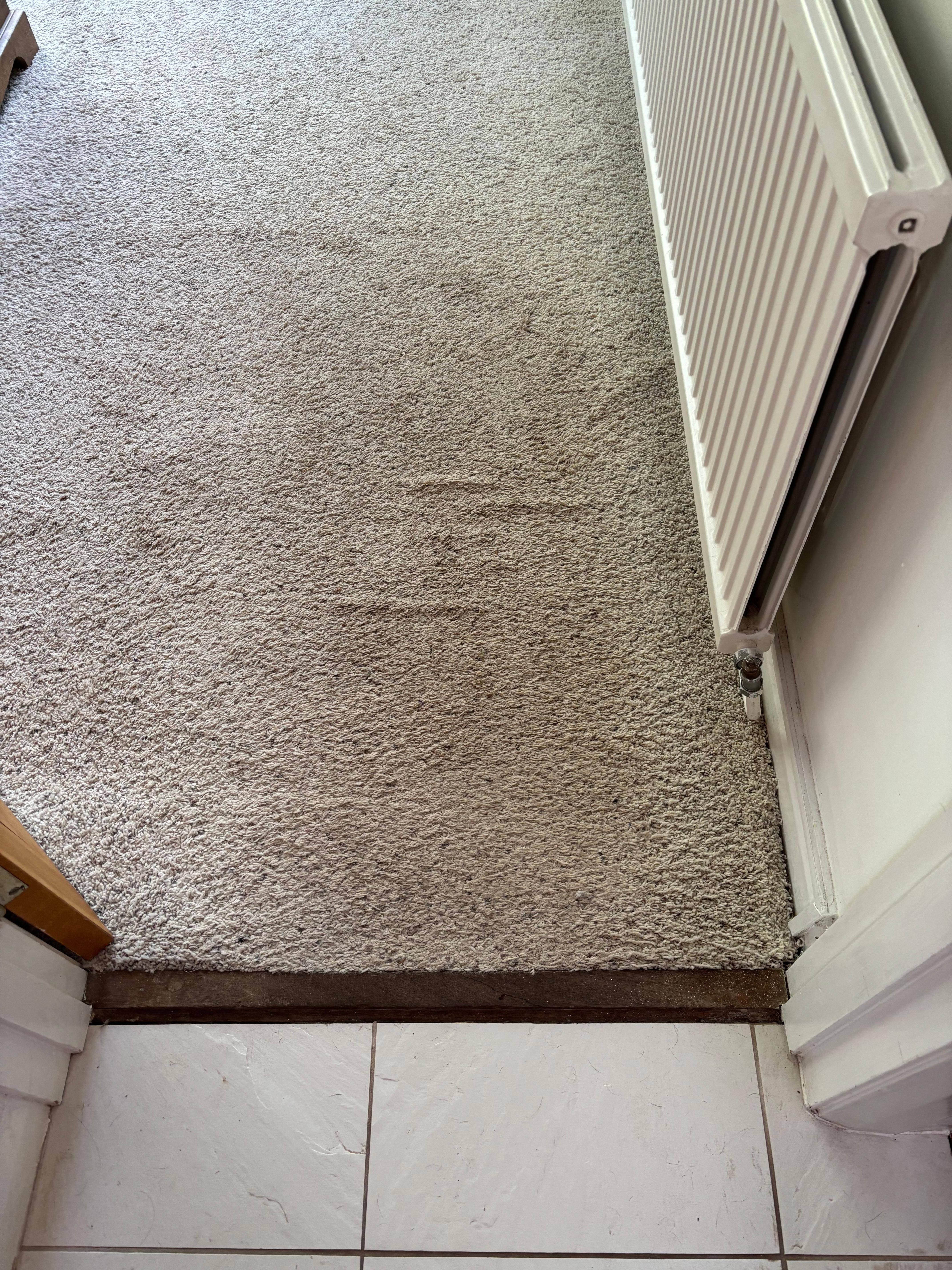 Bedroom carpet with dirty entrance
