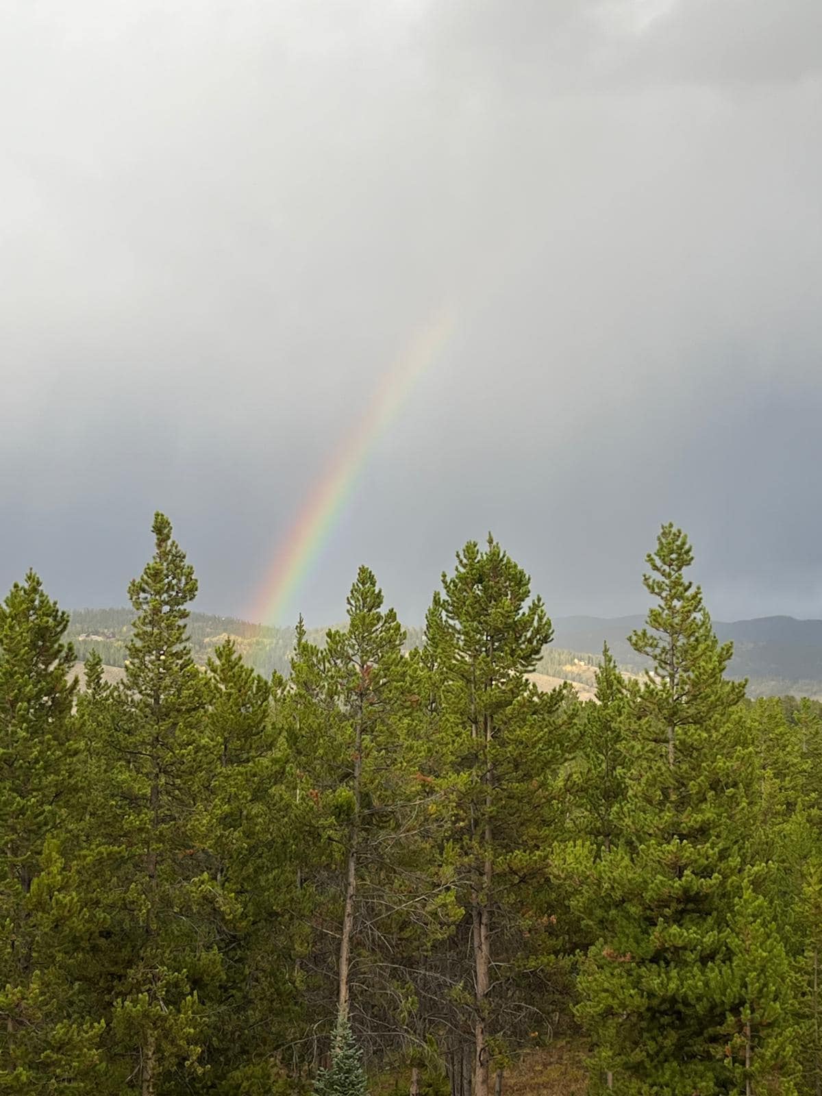 These do not do the view justice.