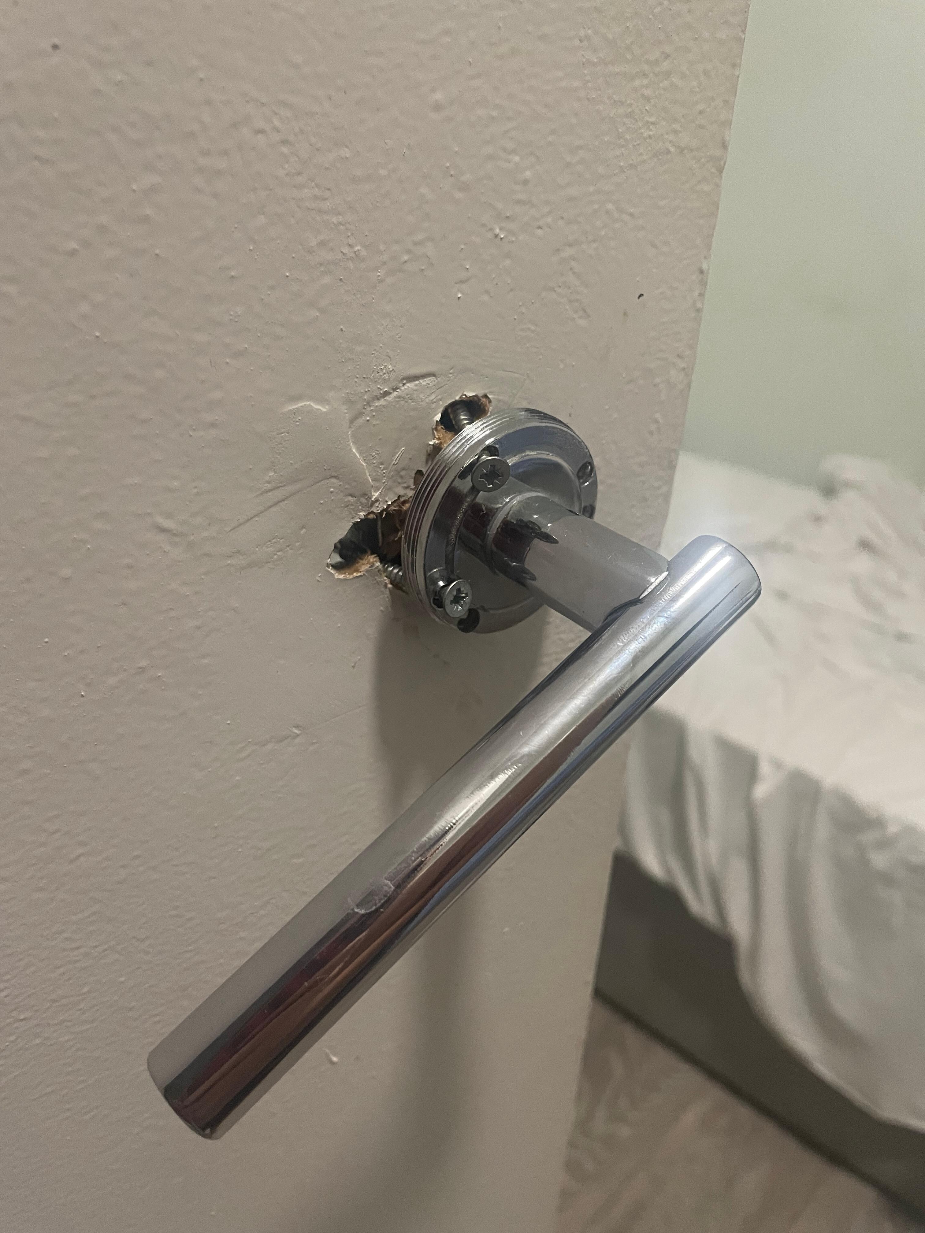 Bathroom handle