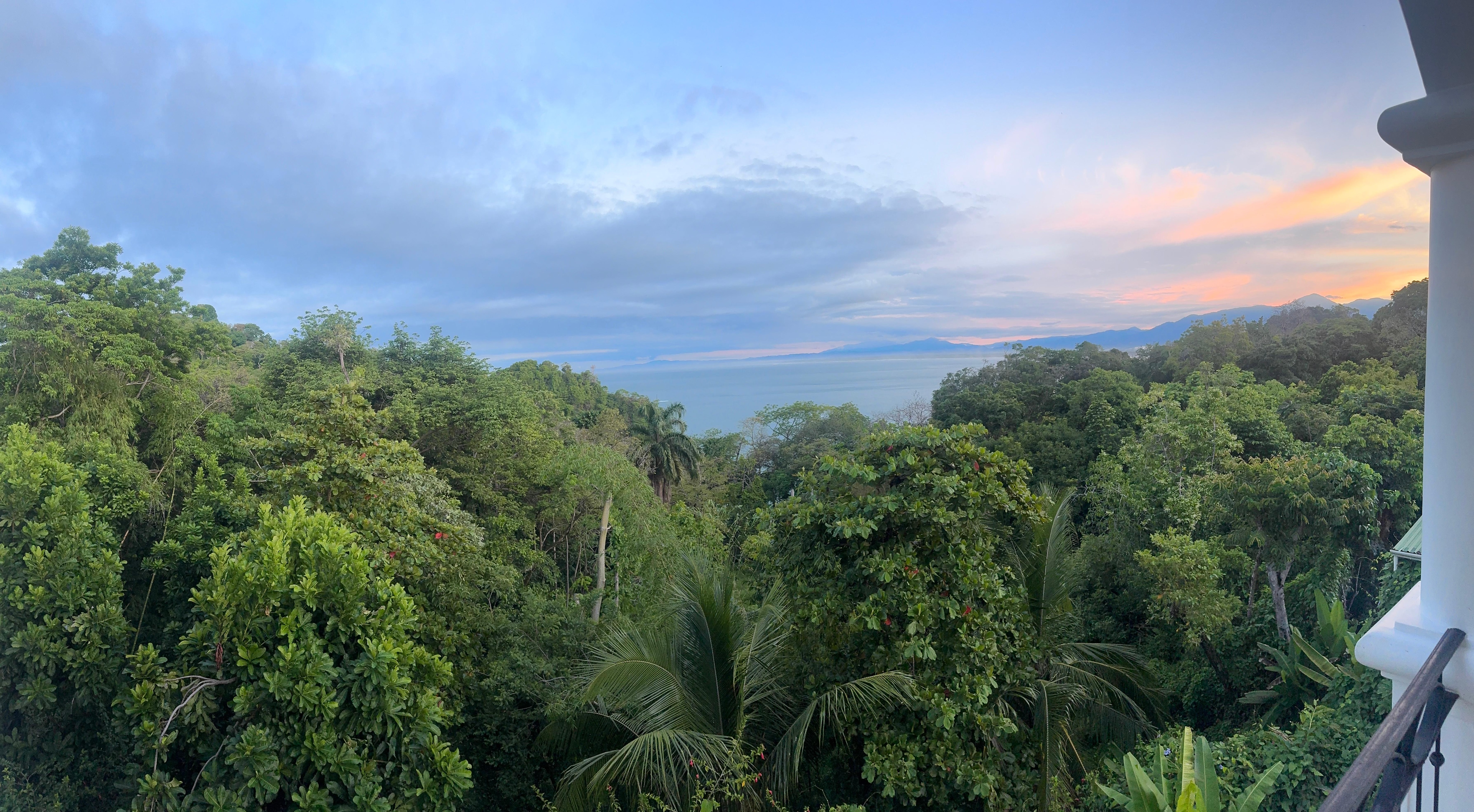 View from room balcony