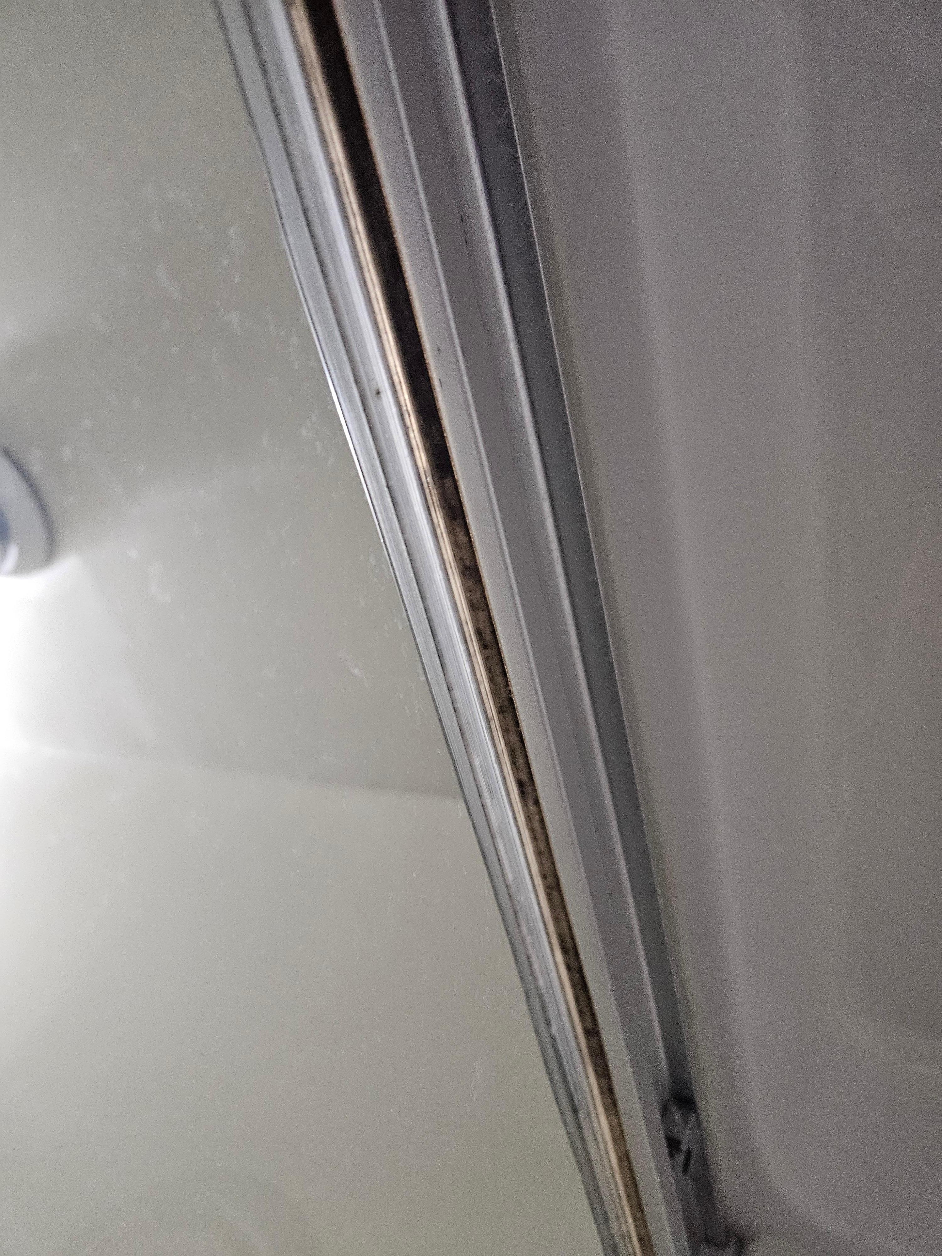 Mould in shower door track