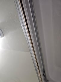Mould in shower door track