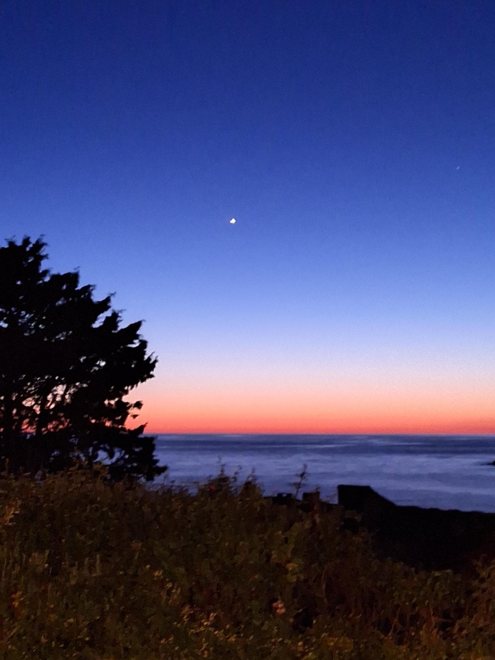 Vue depuis le jardinet