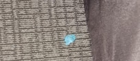 Gum stuck to the carpet floor