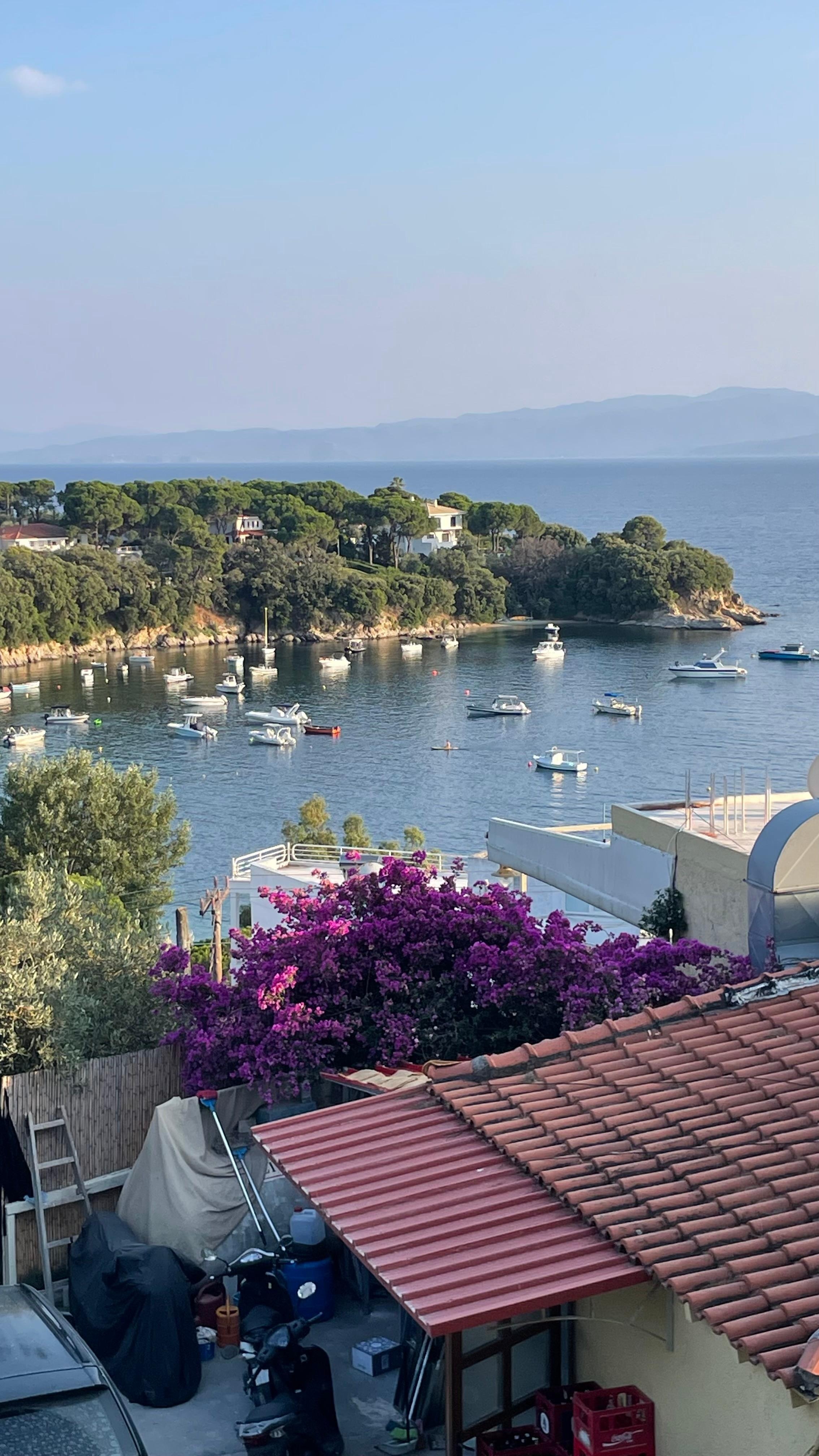 Utsikt från altanen