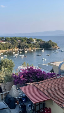 Utsikt från altanen