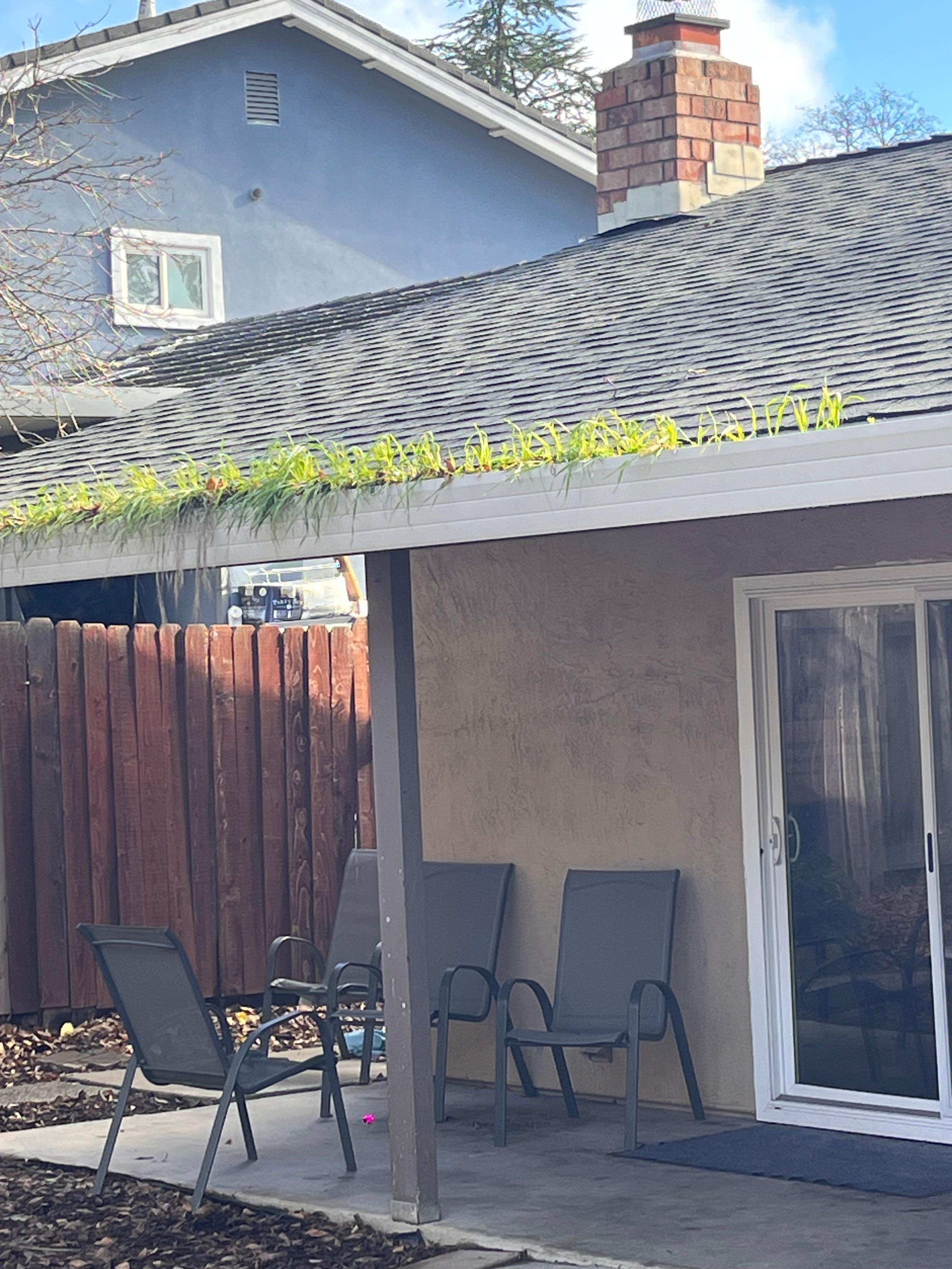 Show home owner clean the gutters, can be a huge problem if left unintended! 