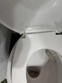 Loose toilet seat kept together with tie wraps and toilet did not stay up