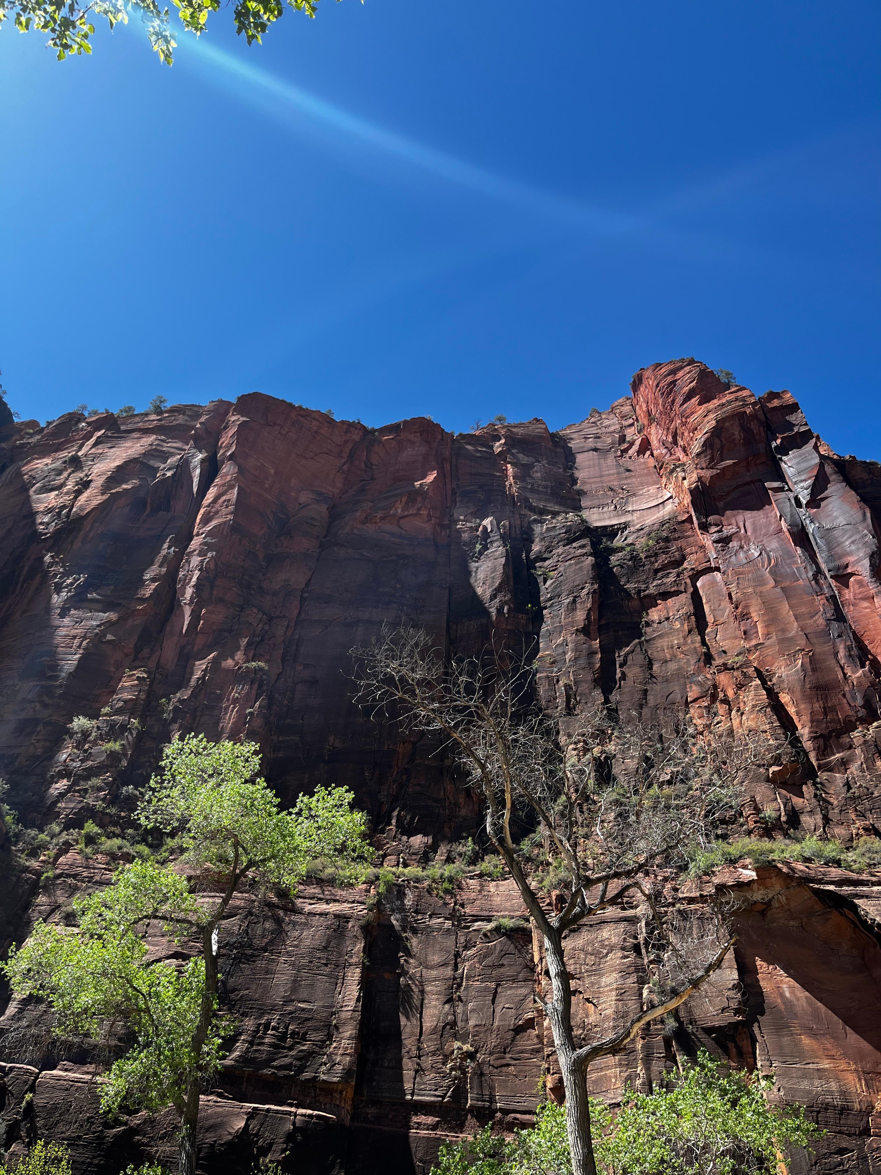Mt. Zion 
