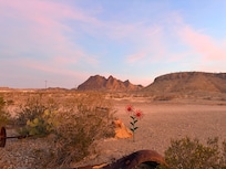 Shortly after sunrise