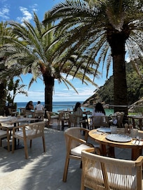 Beach restaurant glass bottom tour stop