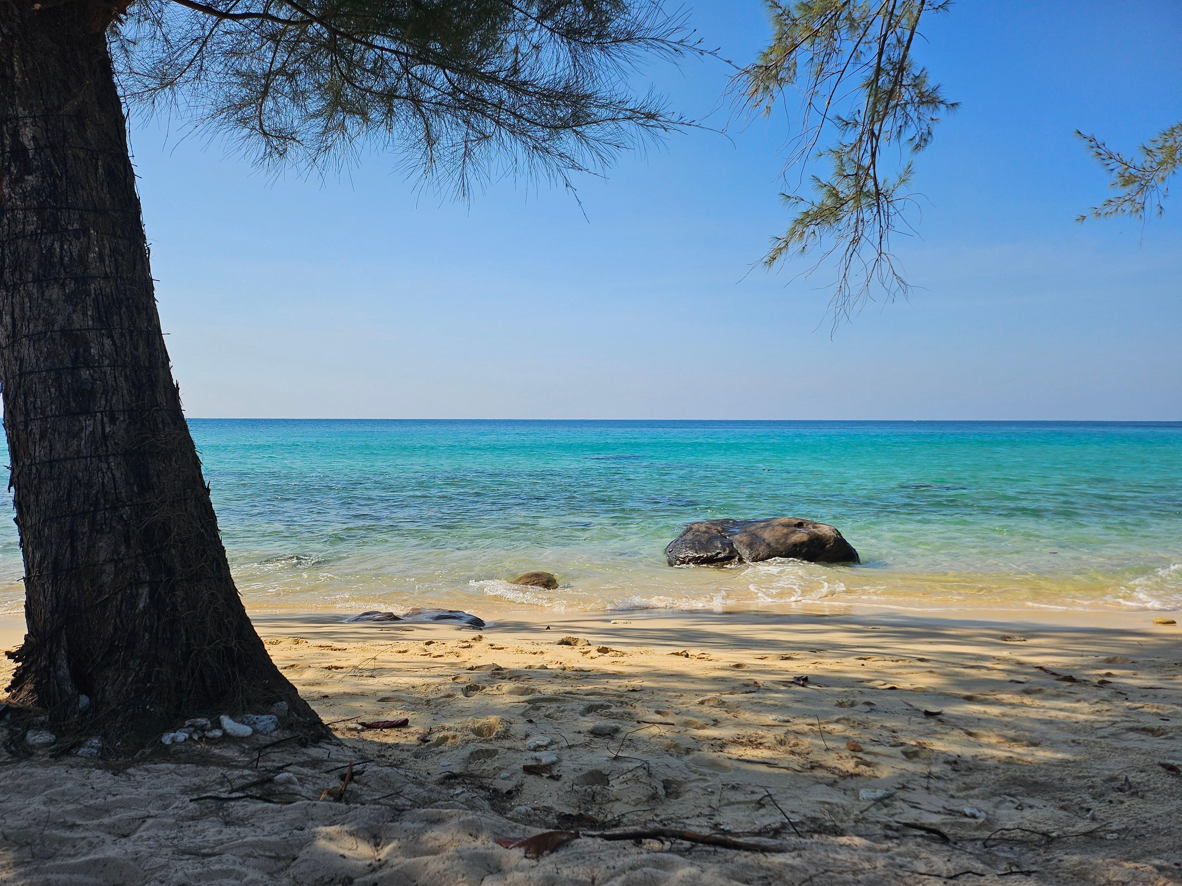 Utsikt från solstolen.