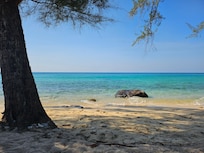 Utsikt från solstolen.