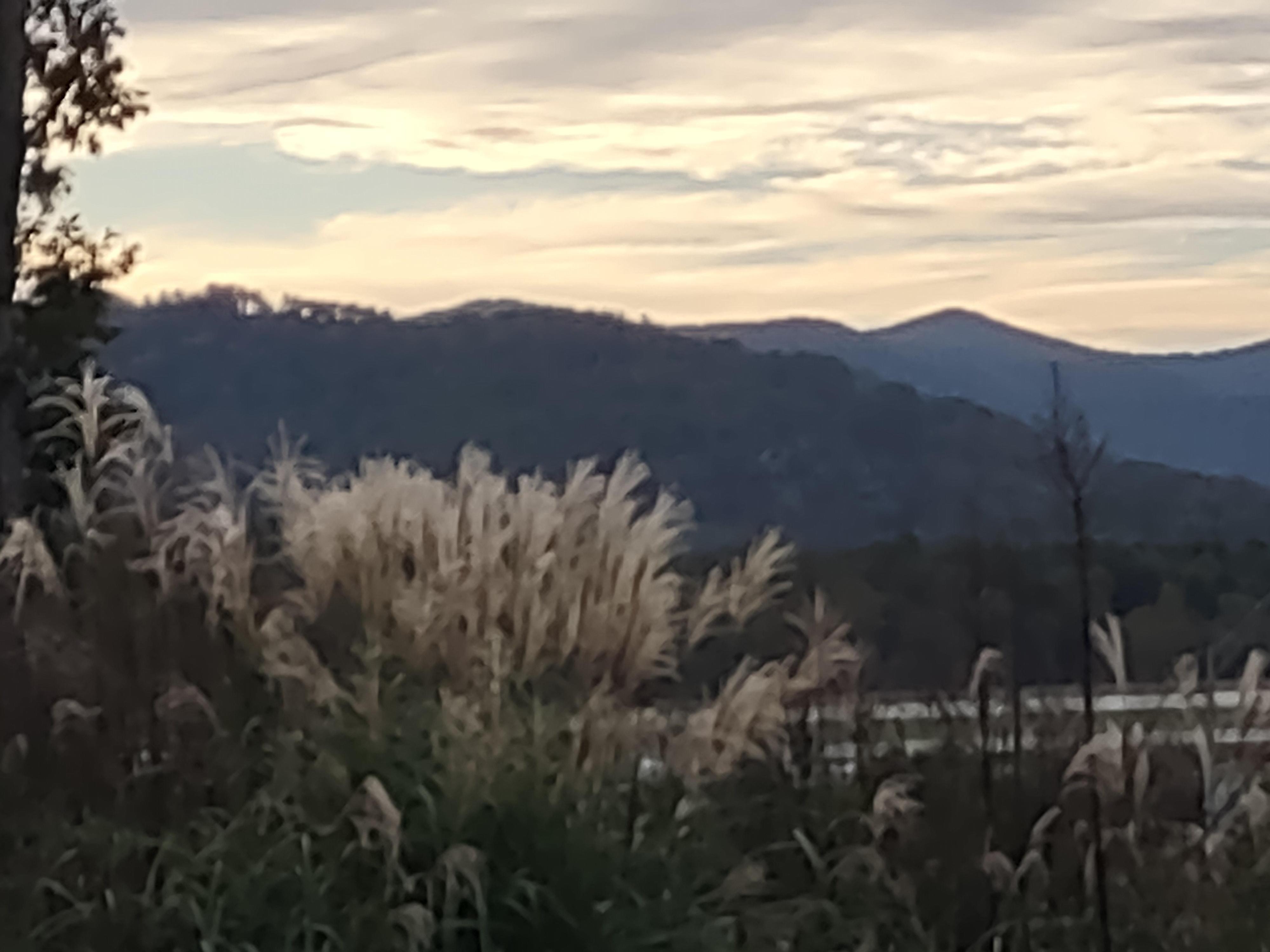 View from Clarion-Arden, NC