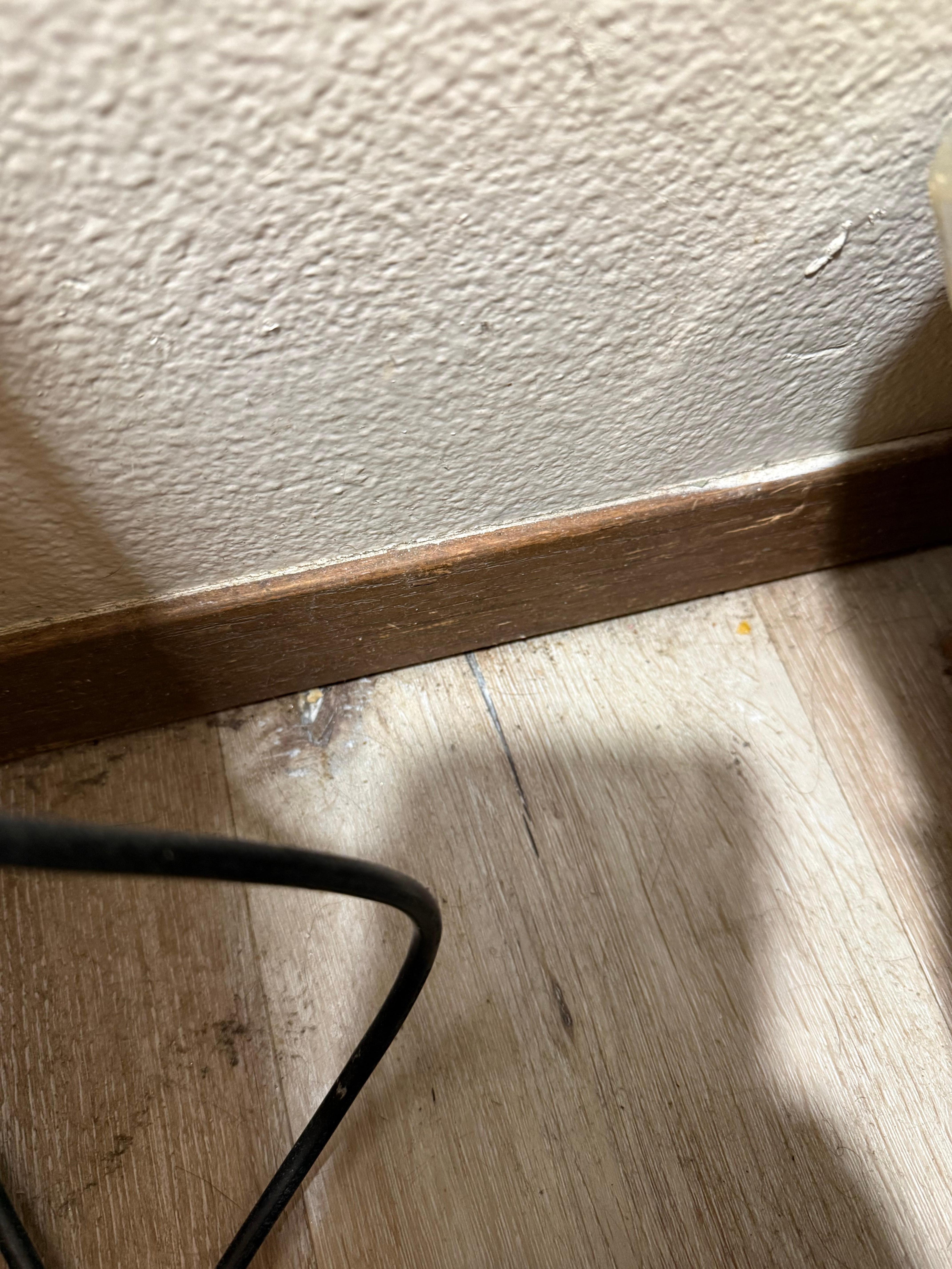 Floor between the befs