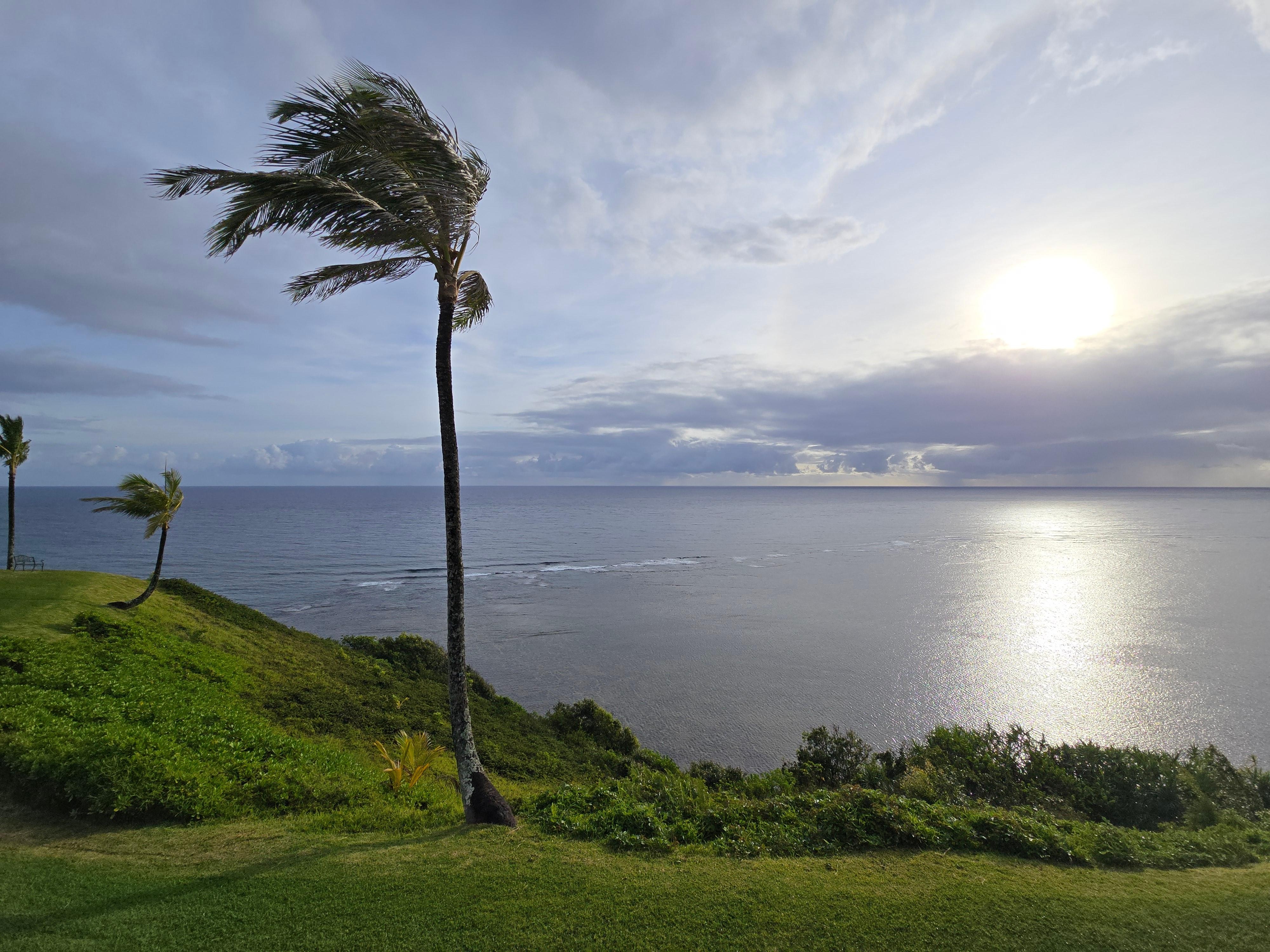 Views from the balcony. It was especially fun because we arrived in the dark and woke up to this in the morning!