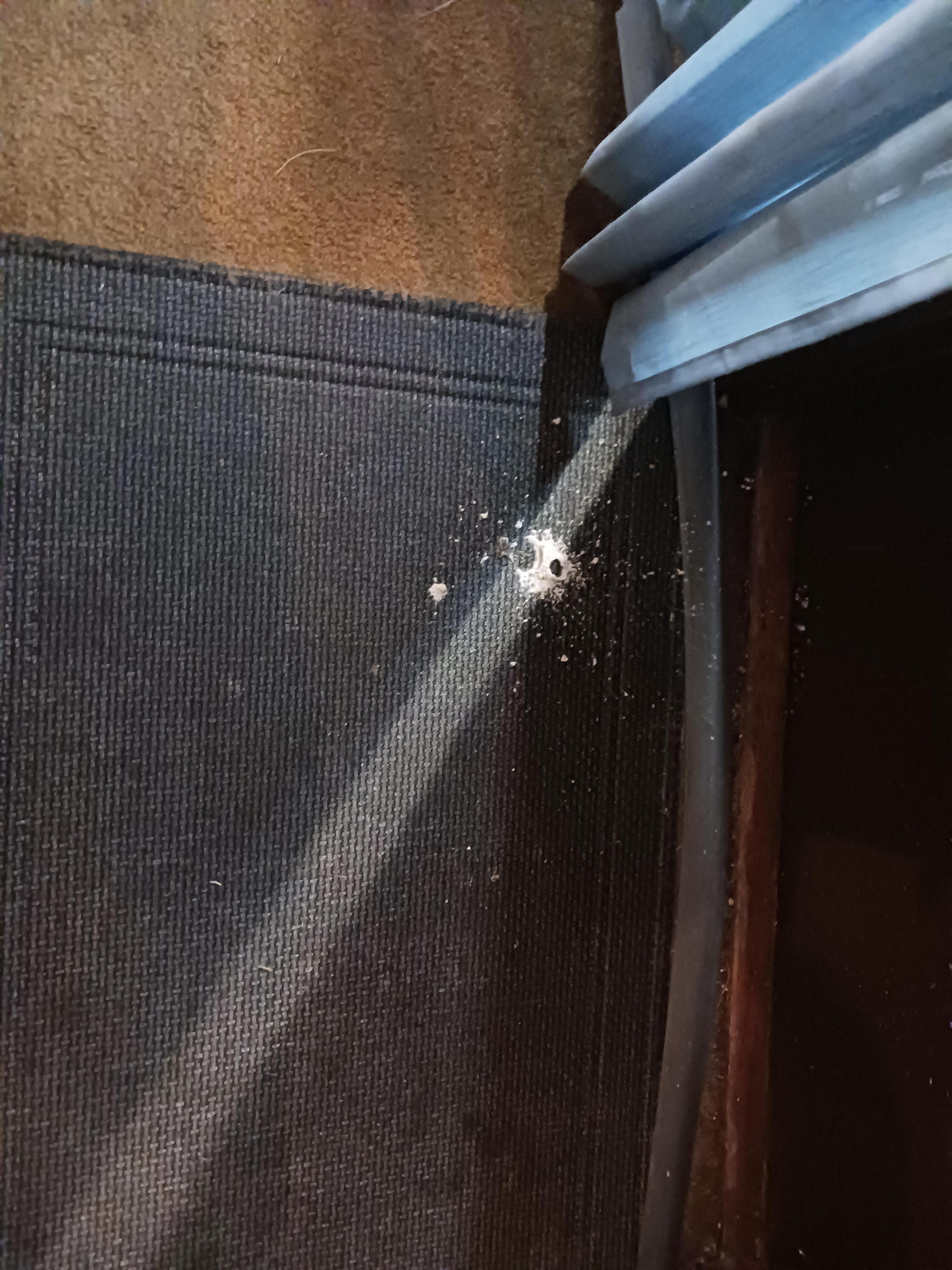 Debris on floor from ceiling from rain.