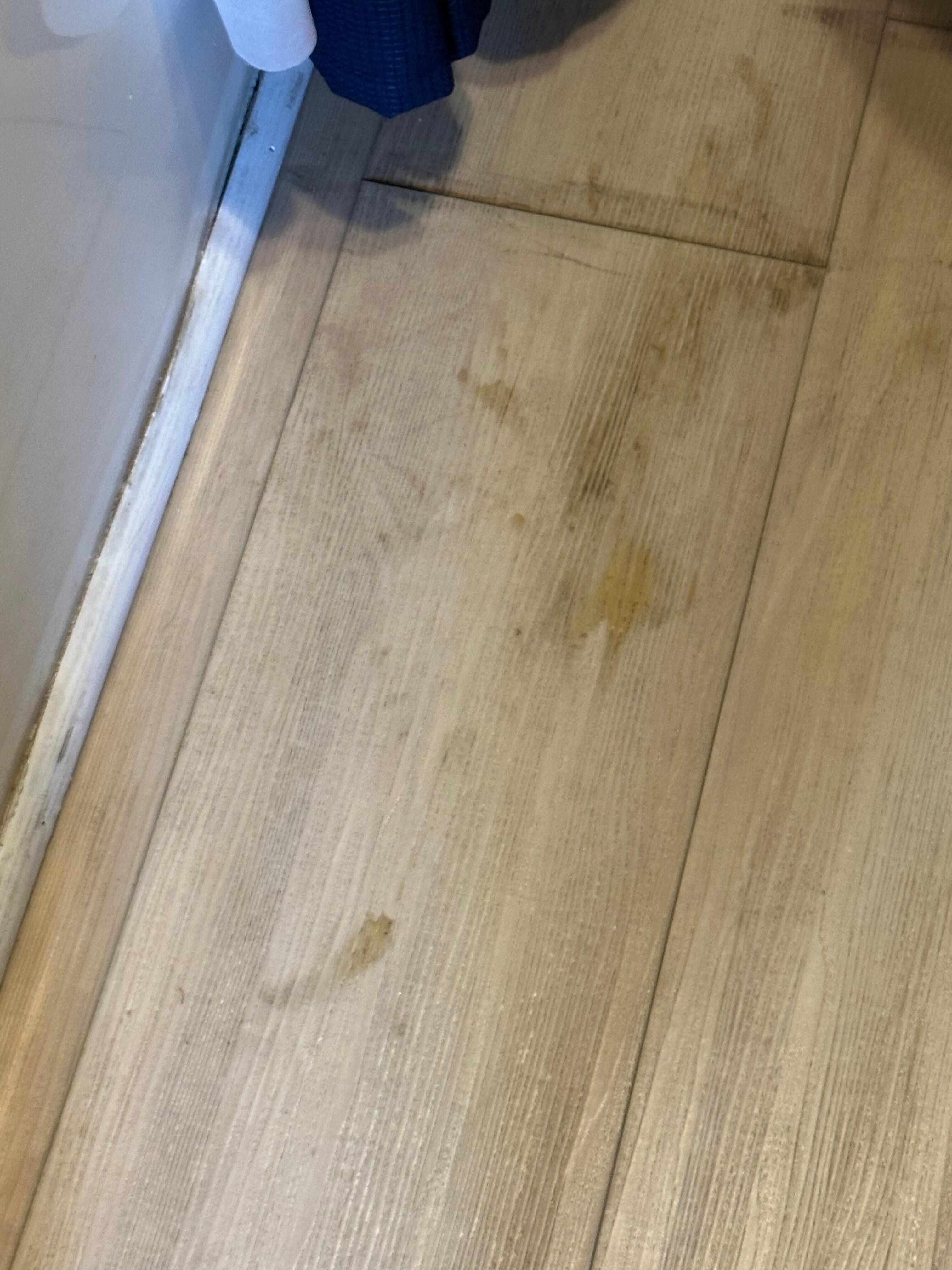 Bathroom floor