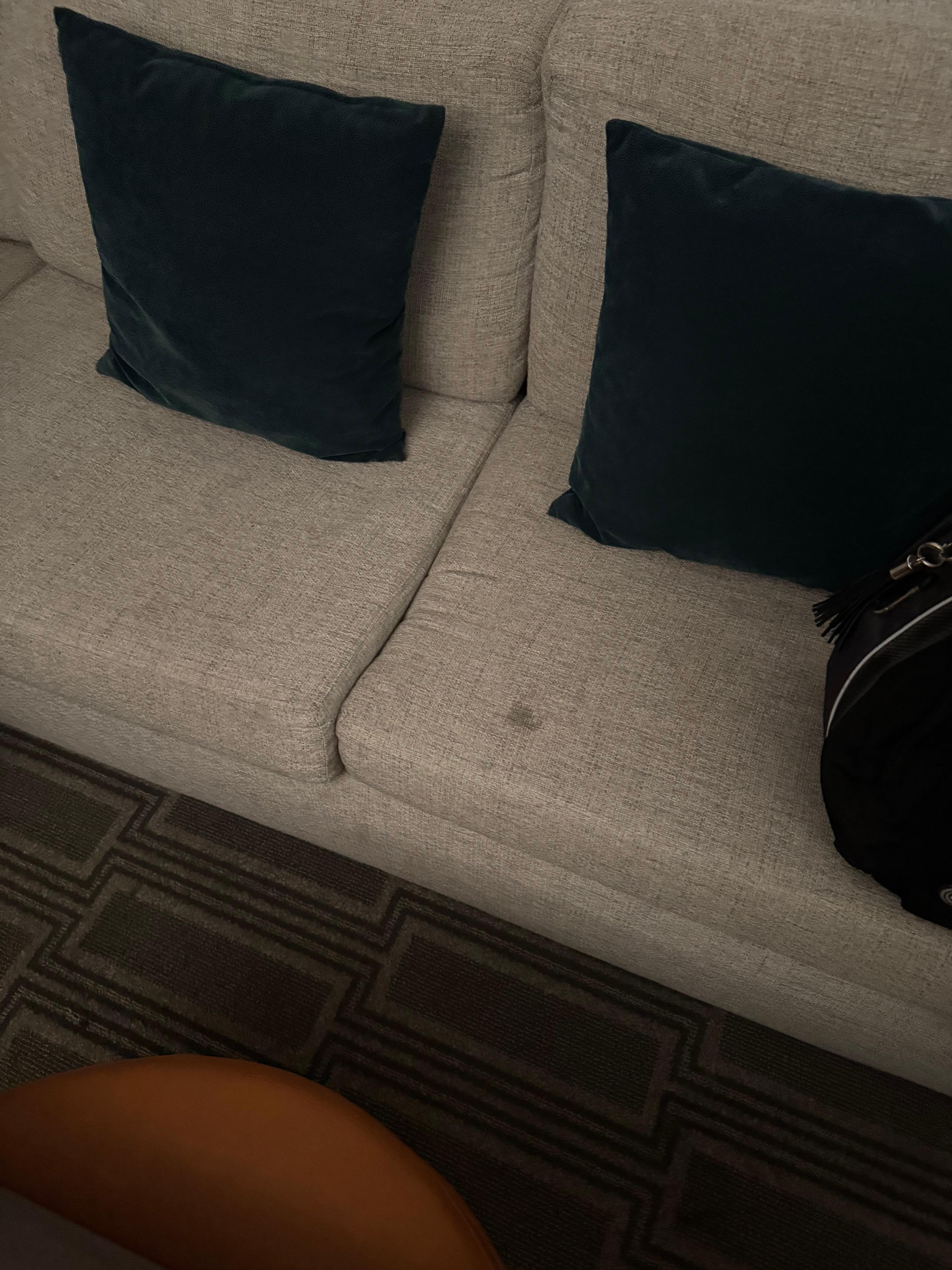 Couch, photos don’t show how bad it was. I wish I could take a picture of the smell. 😂