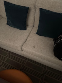 Couch, photos don’t show how bad it was. I wish I could take a picture of the smell. 😂