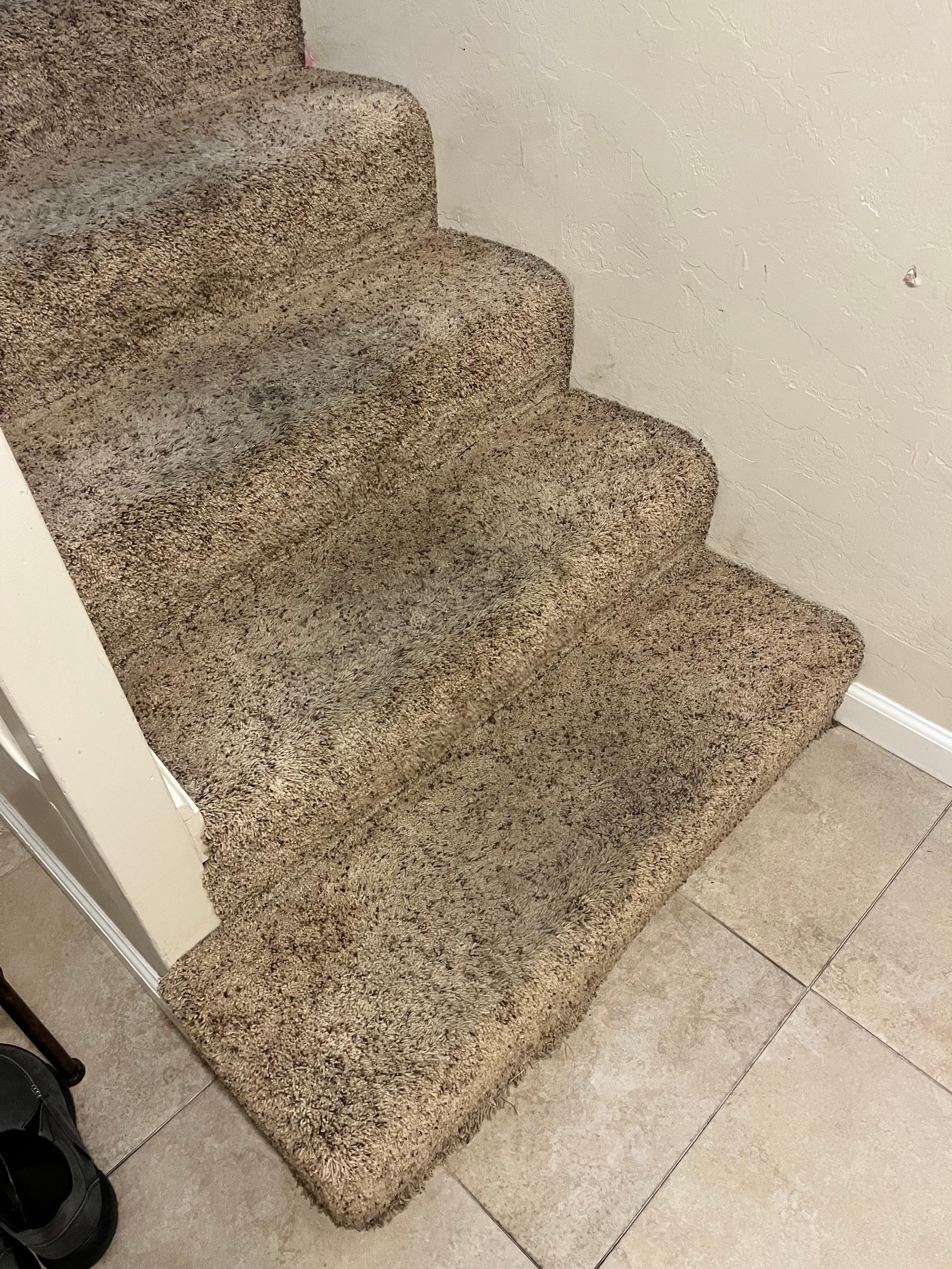 Soiled carpet in entry 
