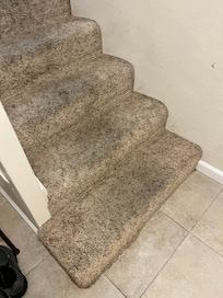 Soiled carpet in entry