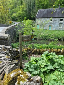 Walk to Hartington along the river from Milldale