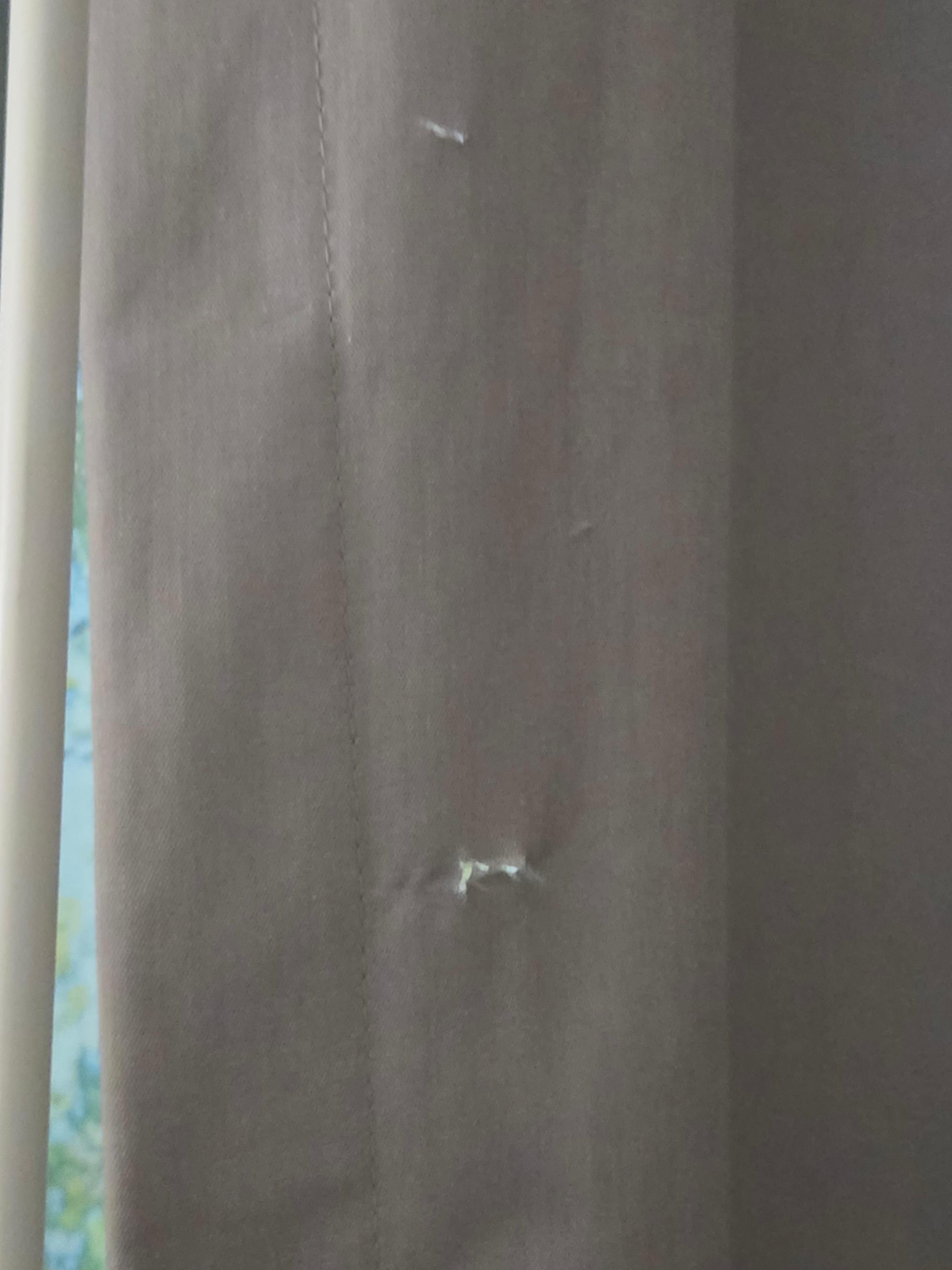 More holes in curtains. 