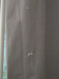 More holes in curtains.