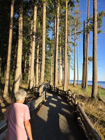 Morning walks