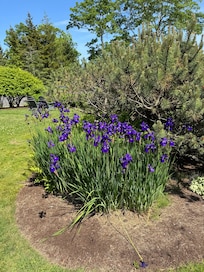 Gardens were immaculate!
