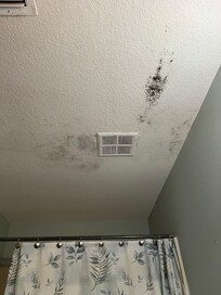 Mold/mildew all over the ceiling in one of the bathrooms
