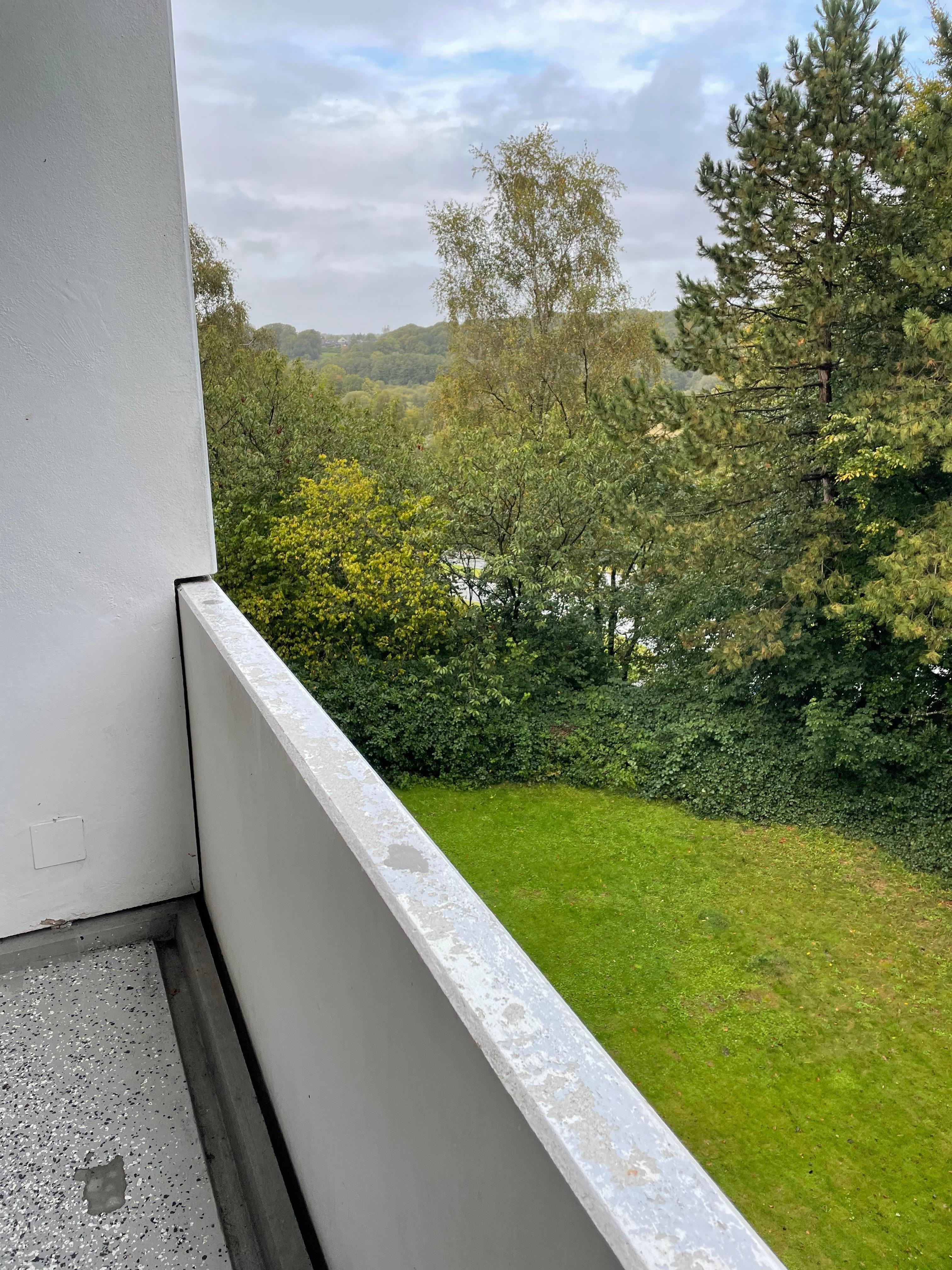 Kig til venstre kunne man se andet end træ toppe