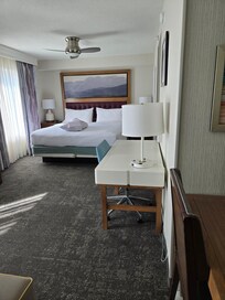 Cute little living area with a bed