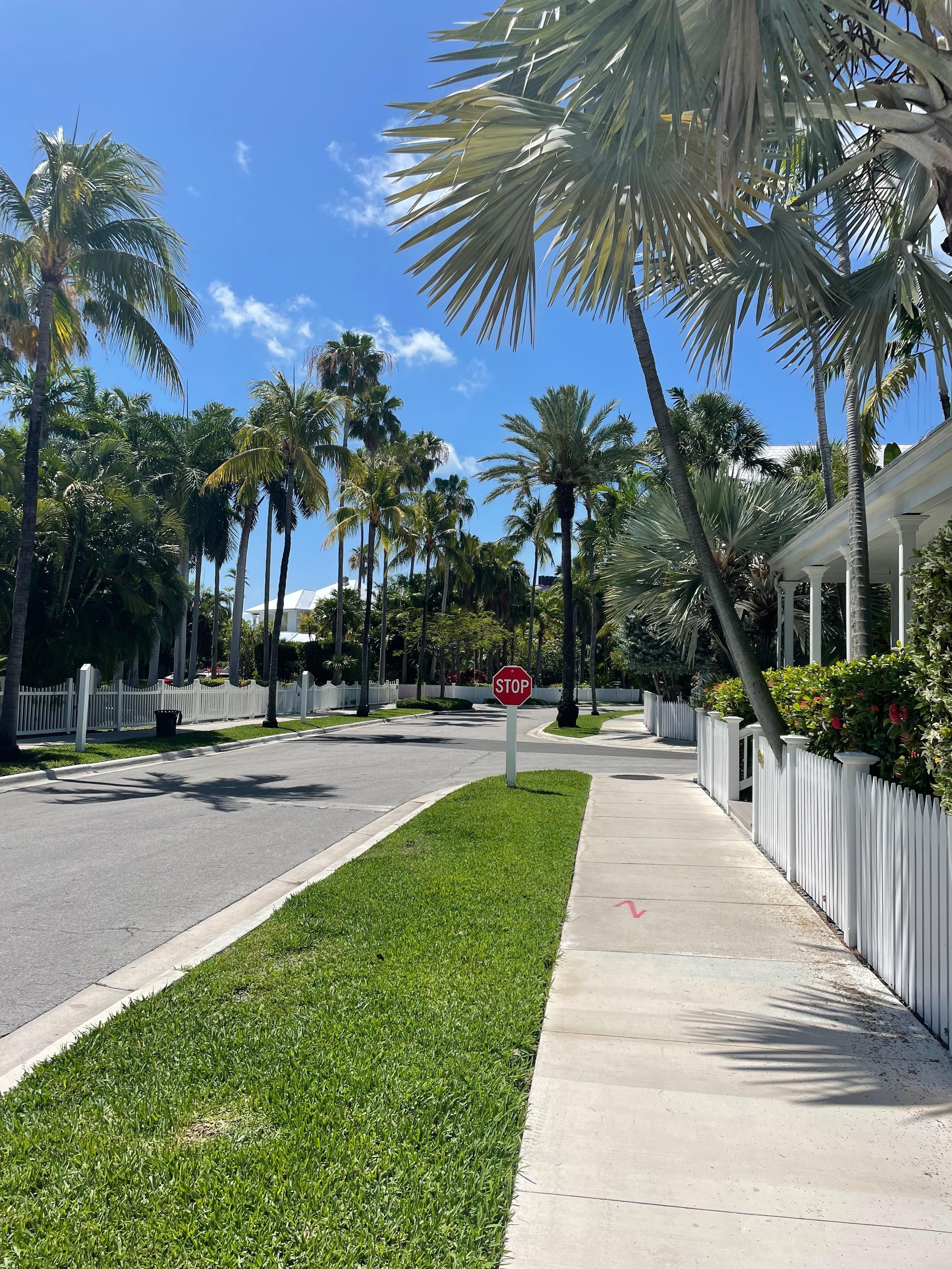 Neighborhood