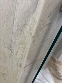 Hair on the shower walls