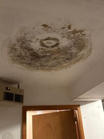 black mold in garage