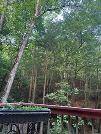 View overlooking creek