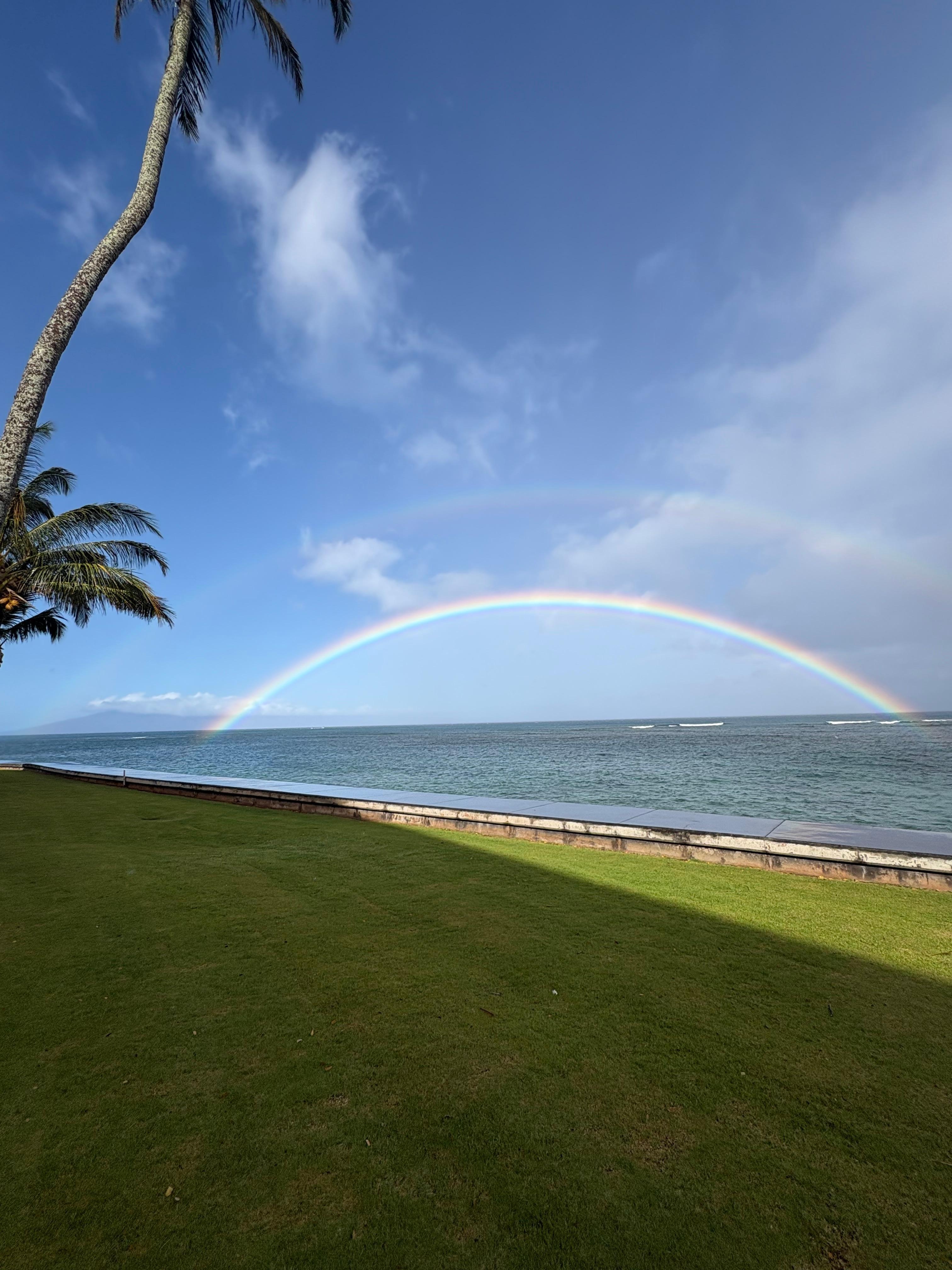 Nice rainbow one afternoon. 