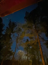 The stars through the trees while I sat in hot tub