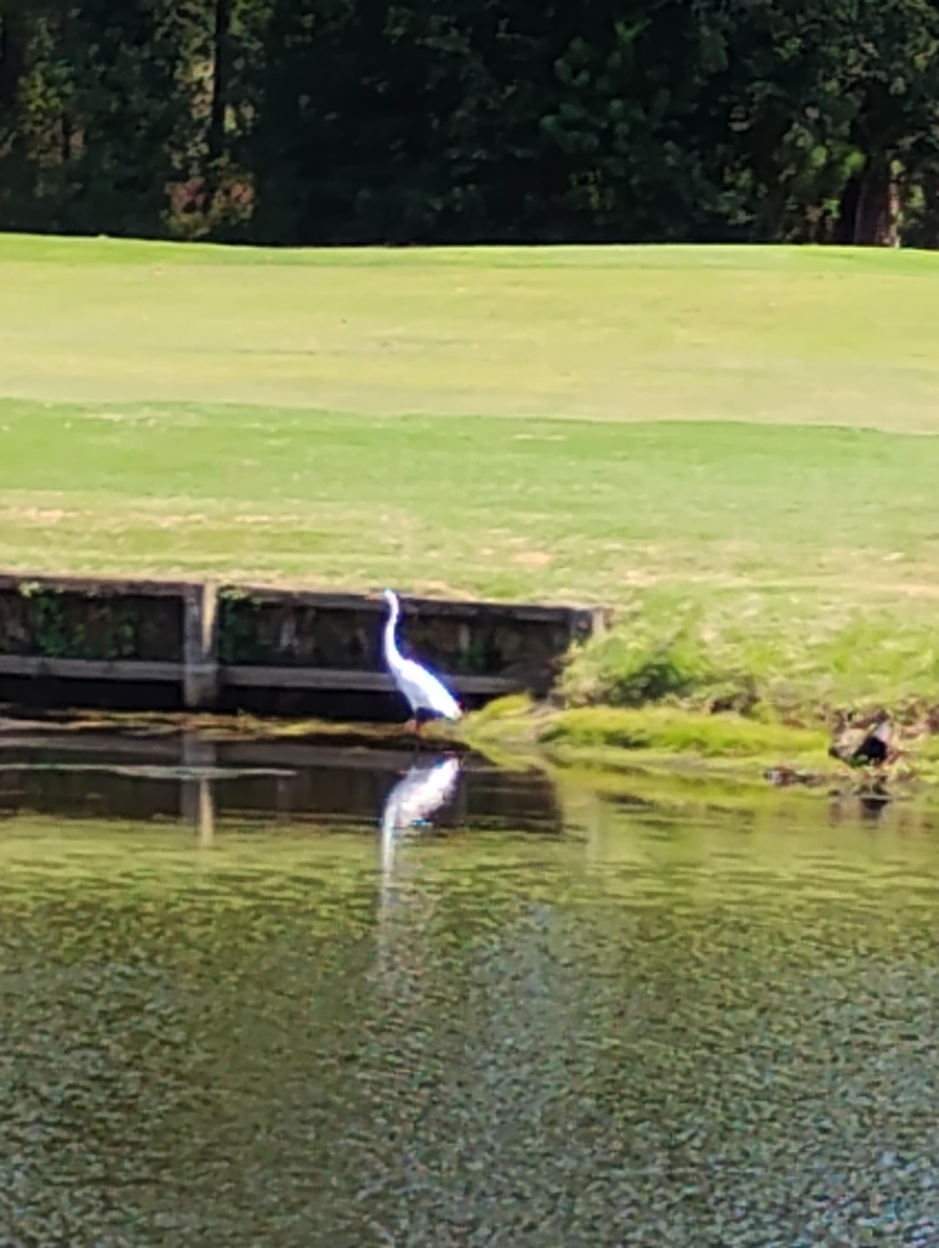 Our view every afternoon 