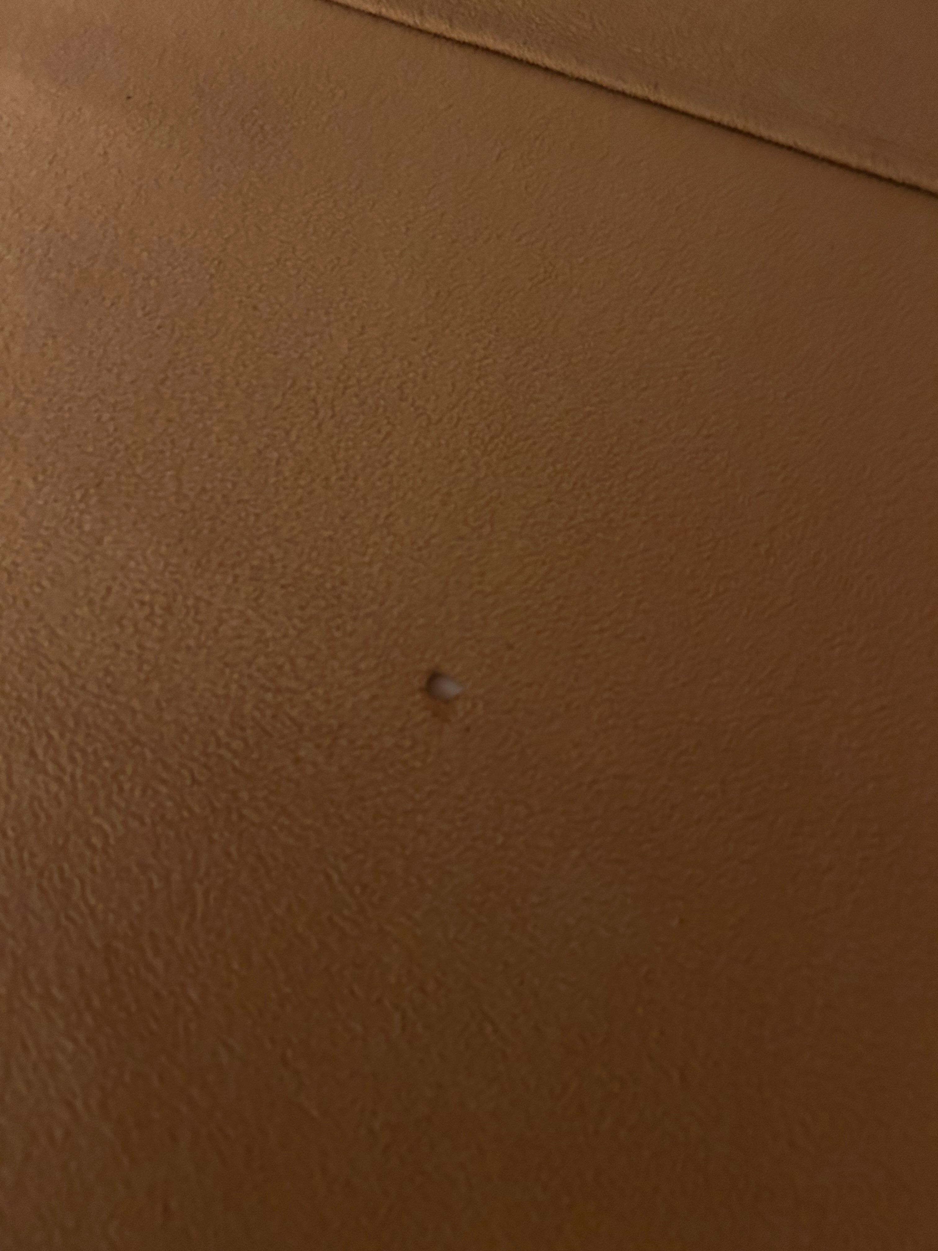 Cigarette burn in bedding