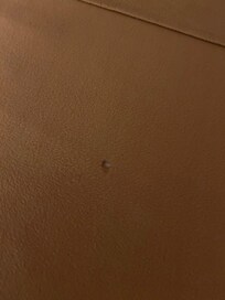 Cigarette burn in bedding