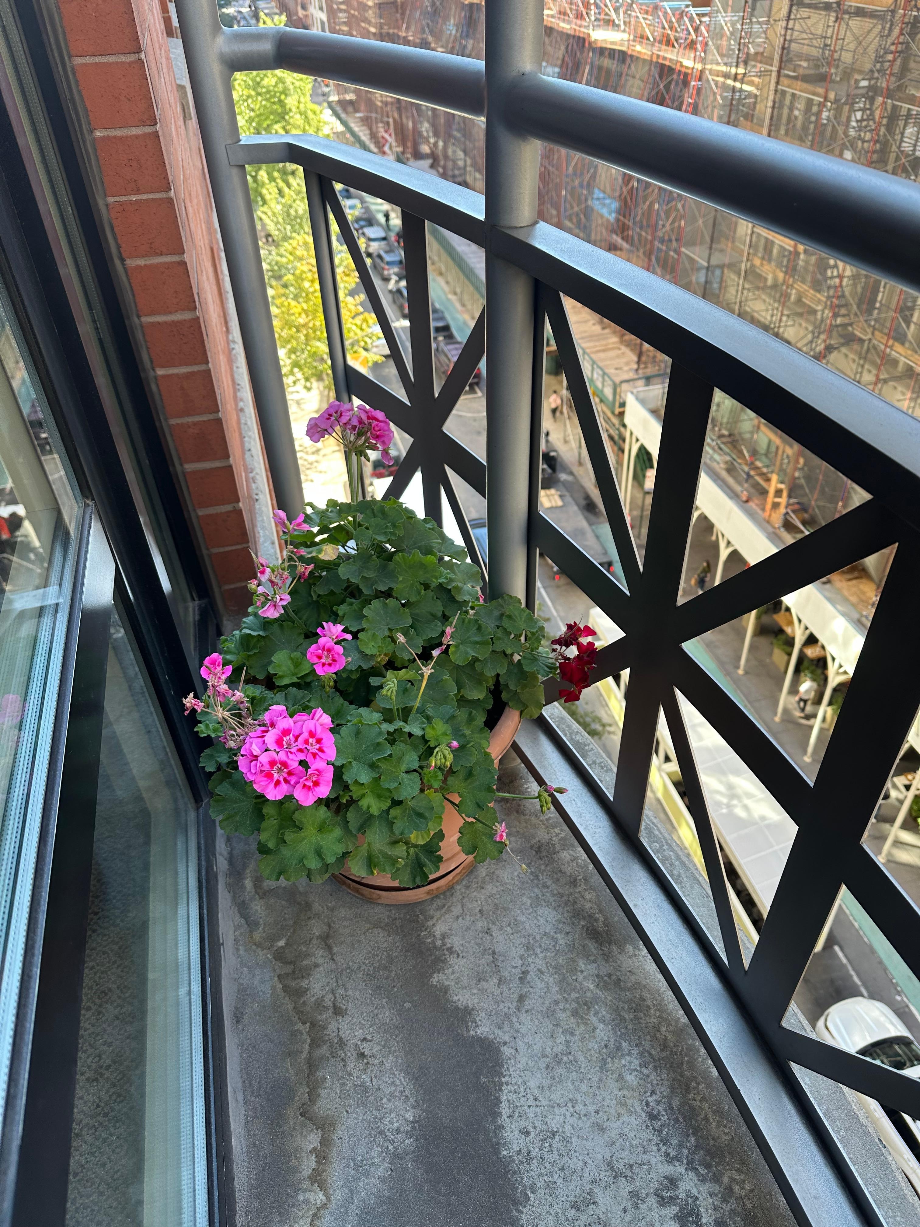 The balcony was small but allowed me to open the door & enjoy the air